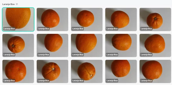 Laranja1
